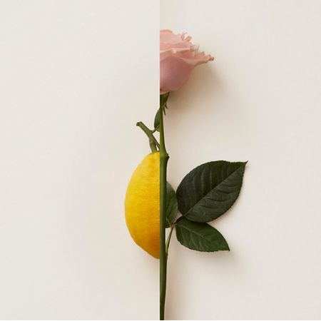 New Notes Rosa Limone