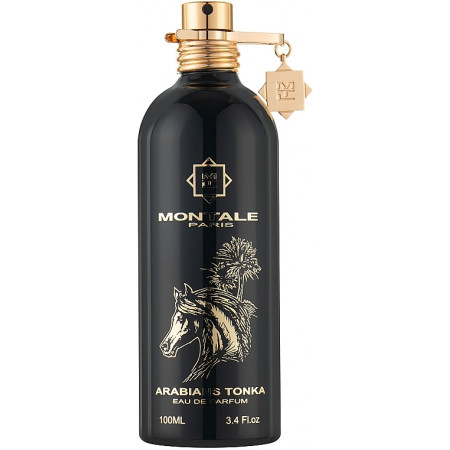 Montale Arabians Tonka Montale Arabians Tonka